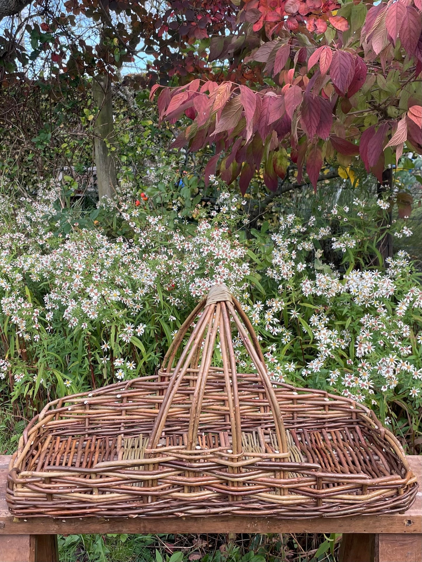 Flower Basket Weaving Workshop with Sarah Le Breton -Tuesday 7th October