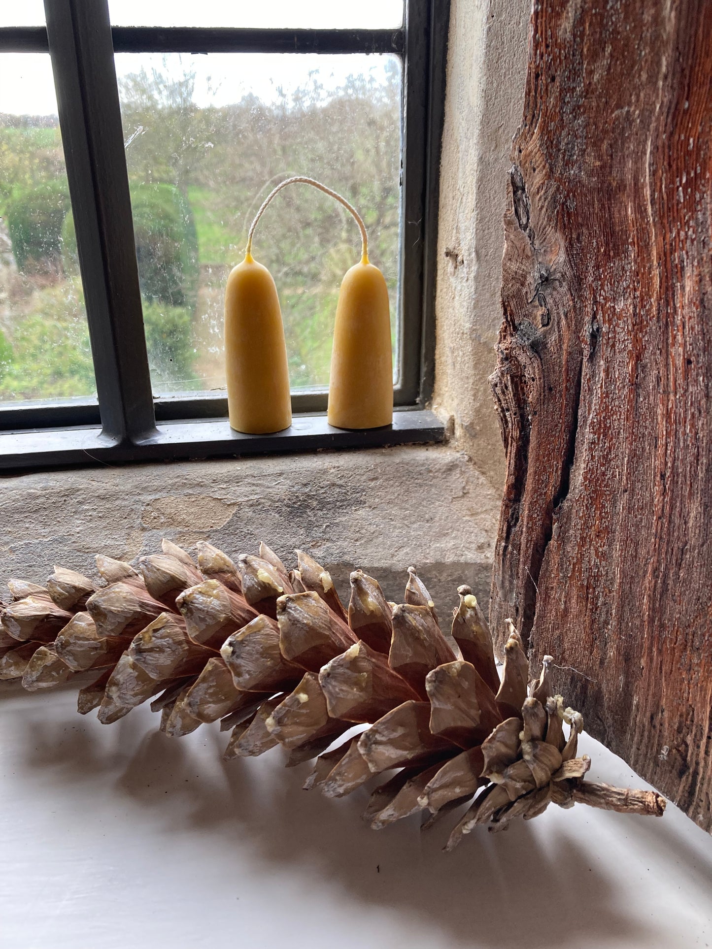 Hand dipped pure beeswax candles - short stubby - set of two