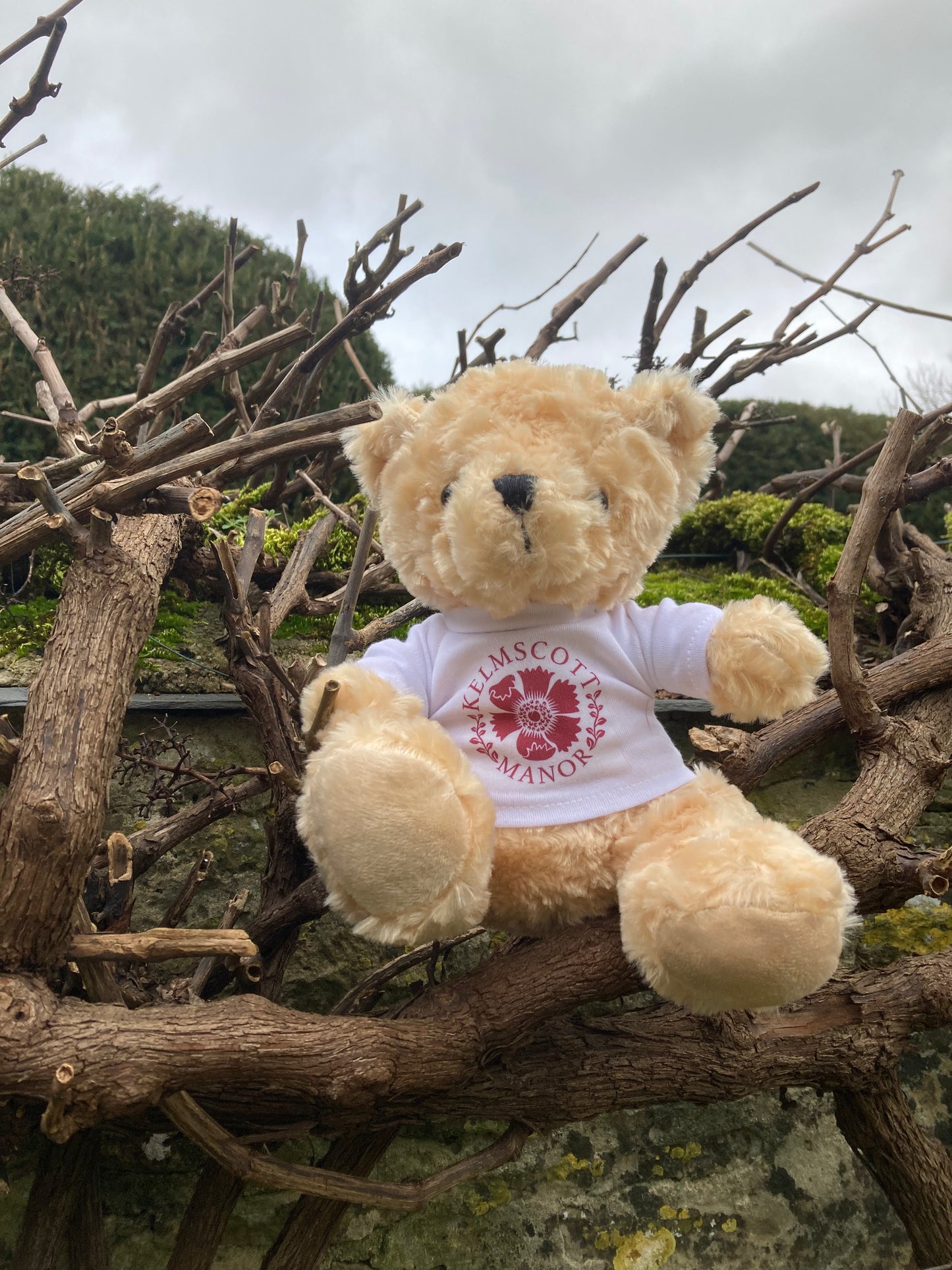 Kelmscott Manor Teddy Bear