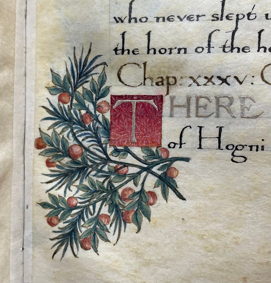 Illumination Workshop with Sarah Davis - Tuesday 2nd September