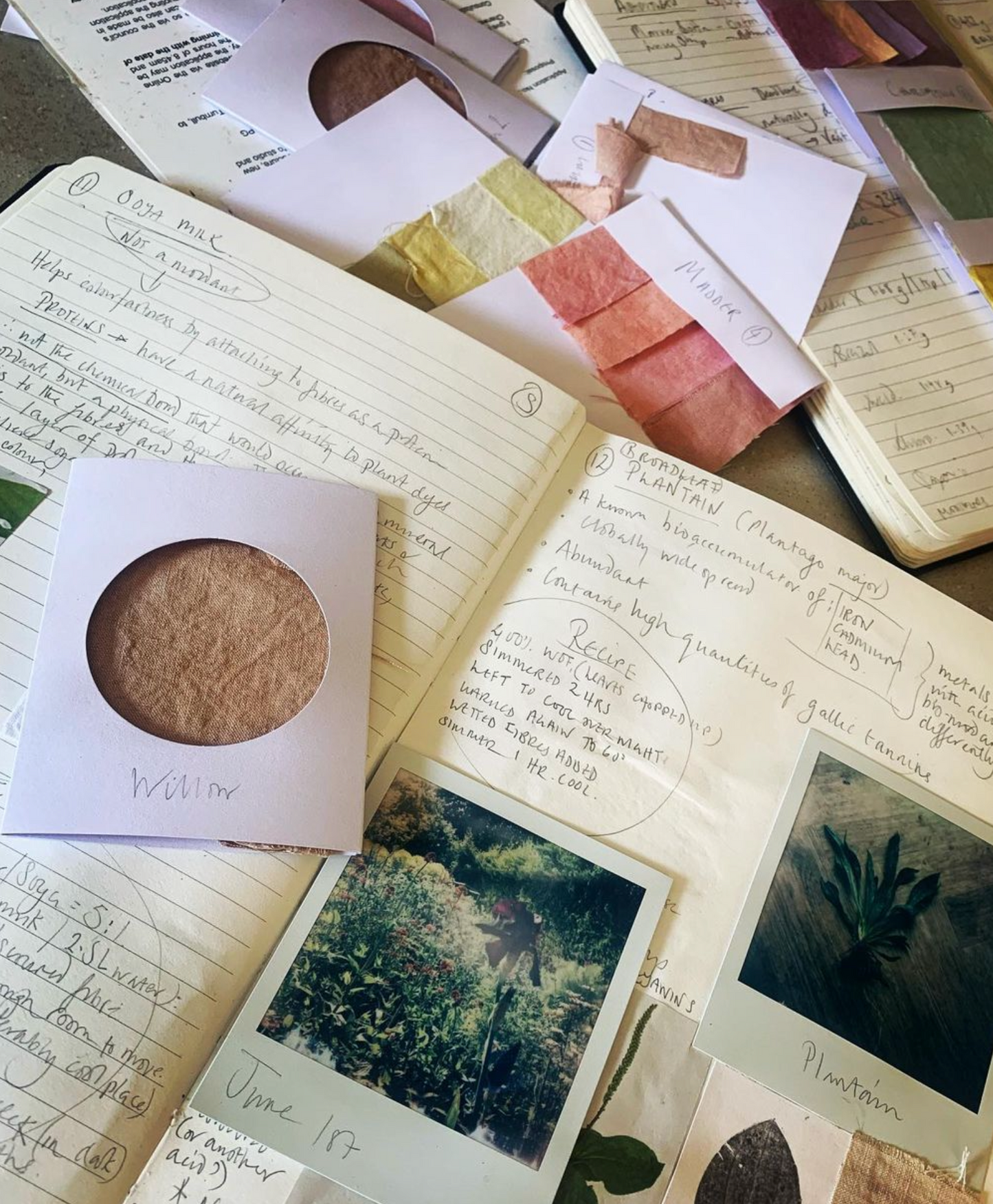 SOLD OUT Natural Dyeing workshop with Kate Turnbull- Tuesday 8th July