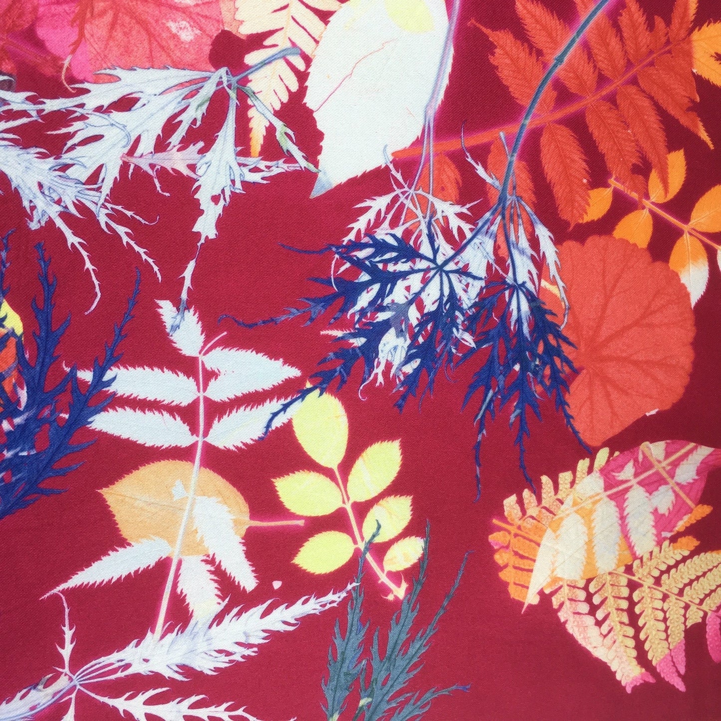 Clare Walsh Printing with Leaves Workshop - Tuesday 22th July