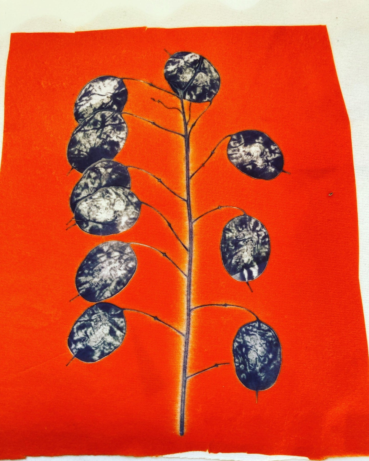 Clare Walsh Printing with Leaves Workshop - Tuesday 22th July