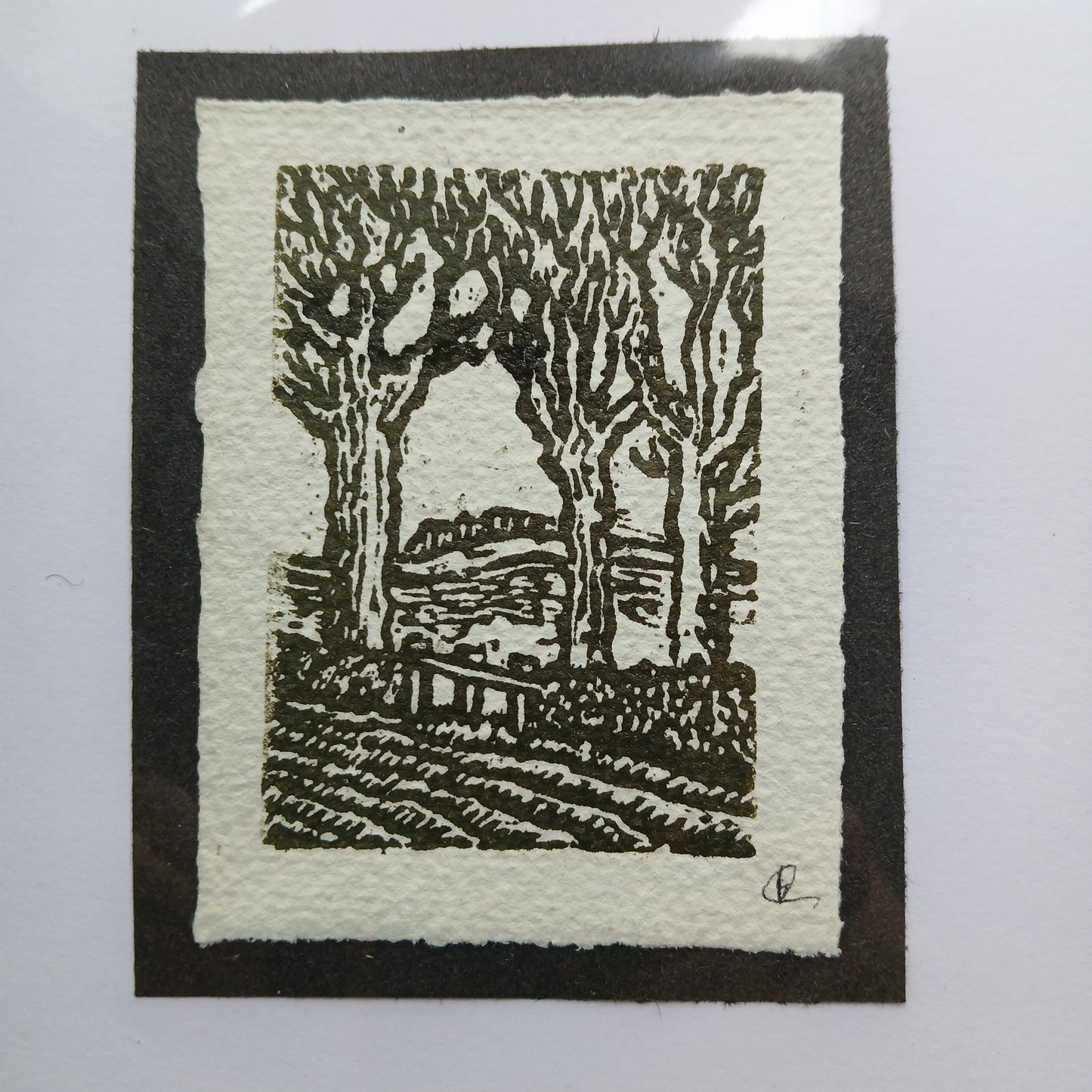 Morris inspired Lino Printing Workshop with Brian Britton Tuesday 21 July 10.00-16.30