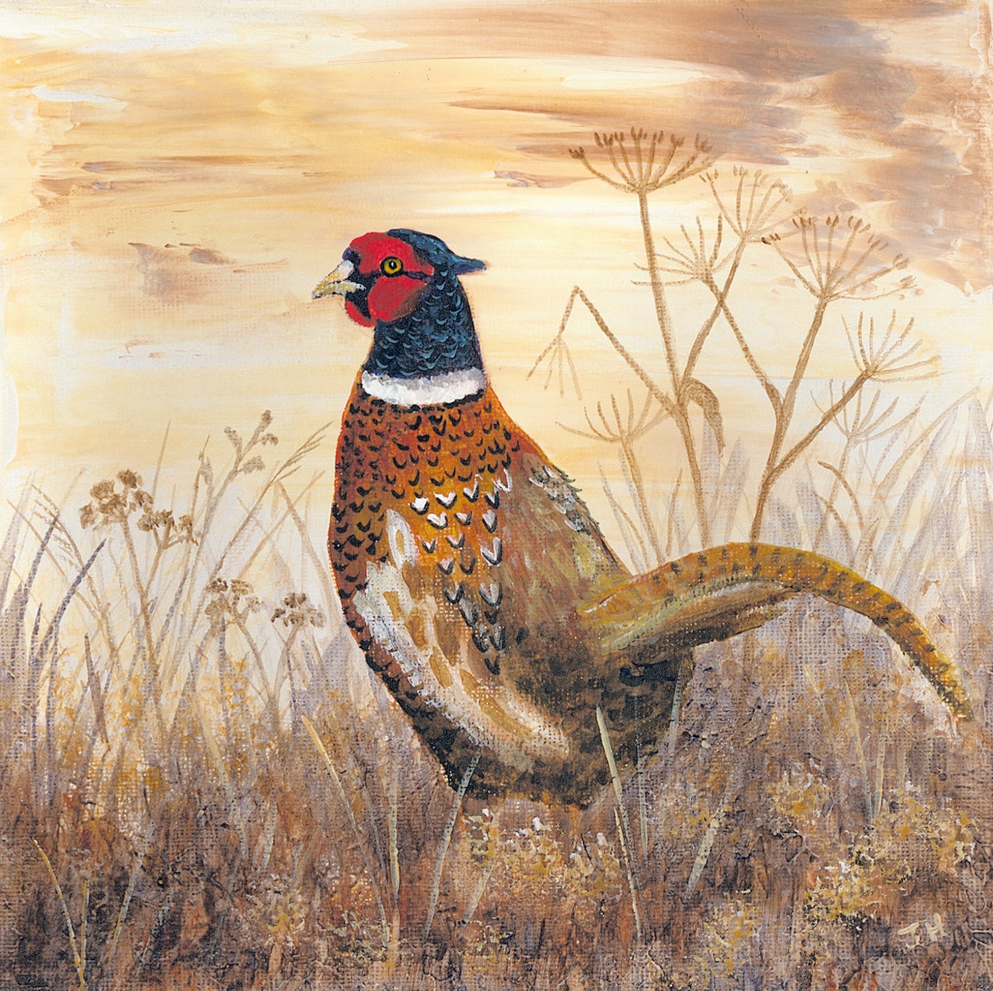 Greeting card - Autumn Pheasant