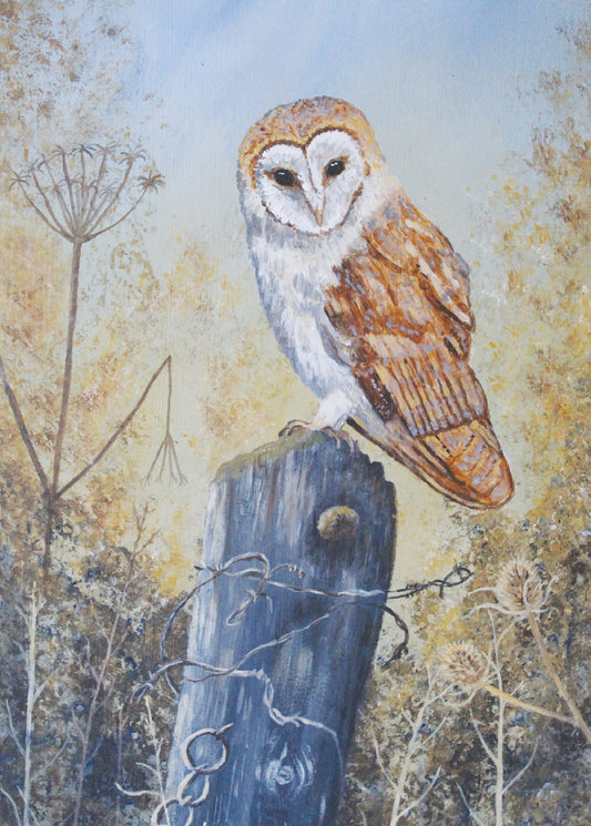 Greeting card - Barn Owl