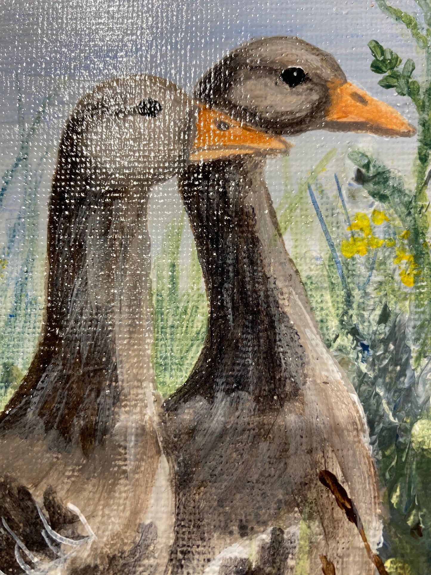 Local artist orginal painting - Greylag Geese - acrylic on canvas