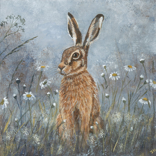 Greeting card - Hare & Daisies