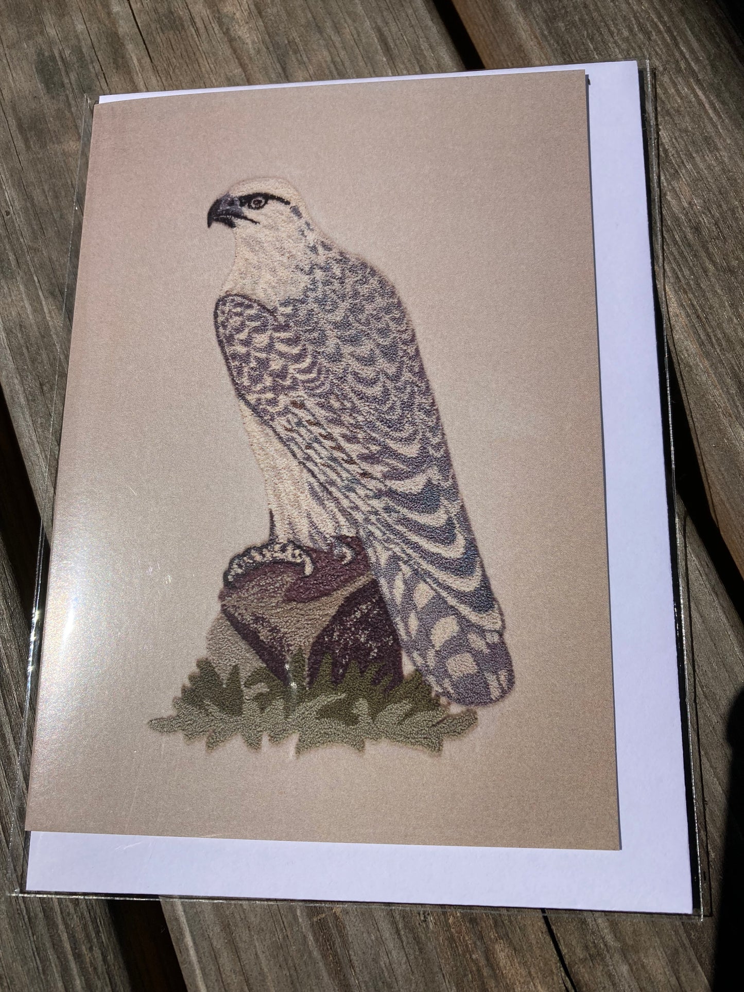 Card - showing Icelandic bird of prey - blank inside