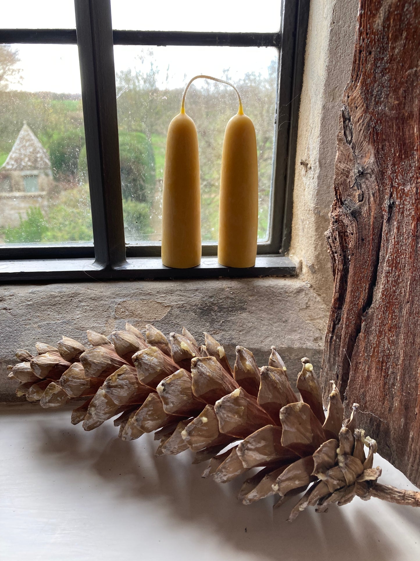 Hand dipped pure beeswax candles - medium stubby - set of two