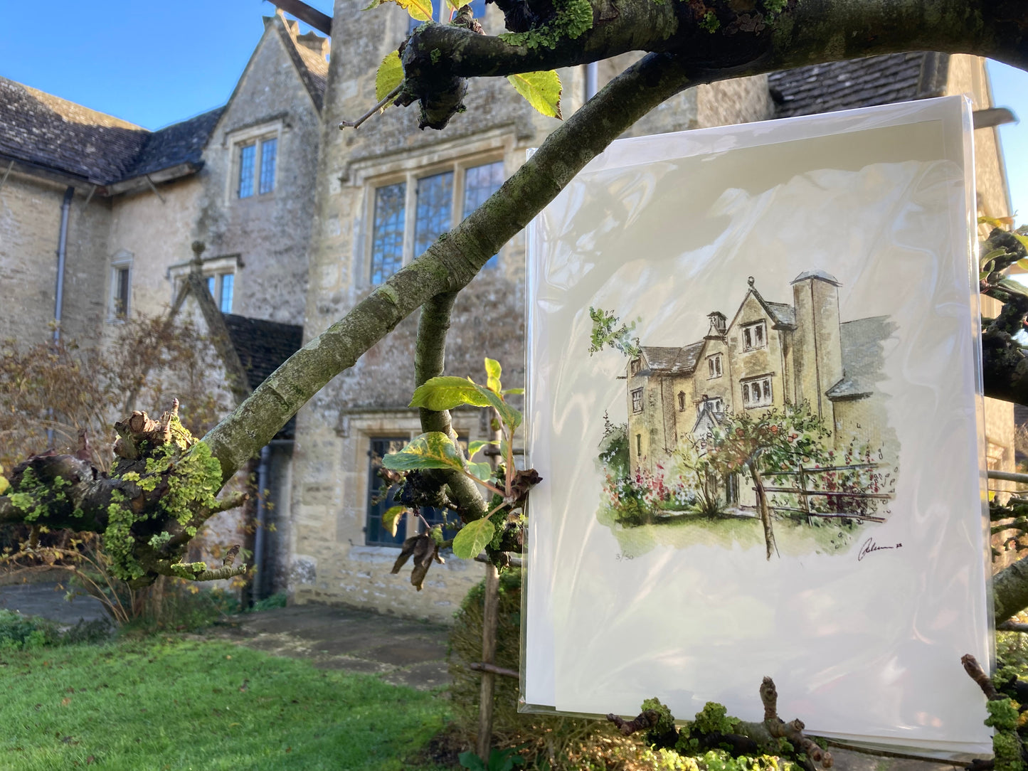 Exclusive limited edition (50 prints) from local artist Becky Carpenter