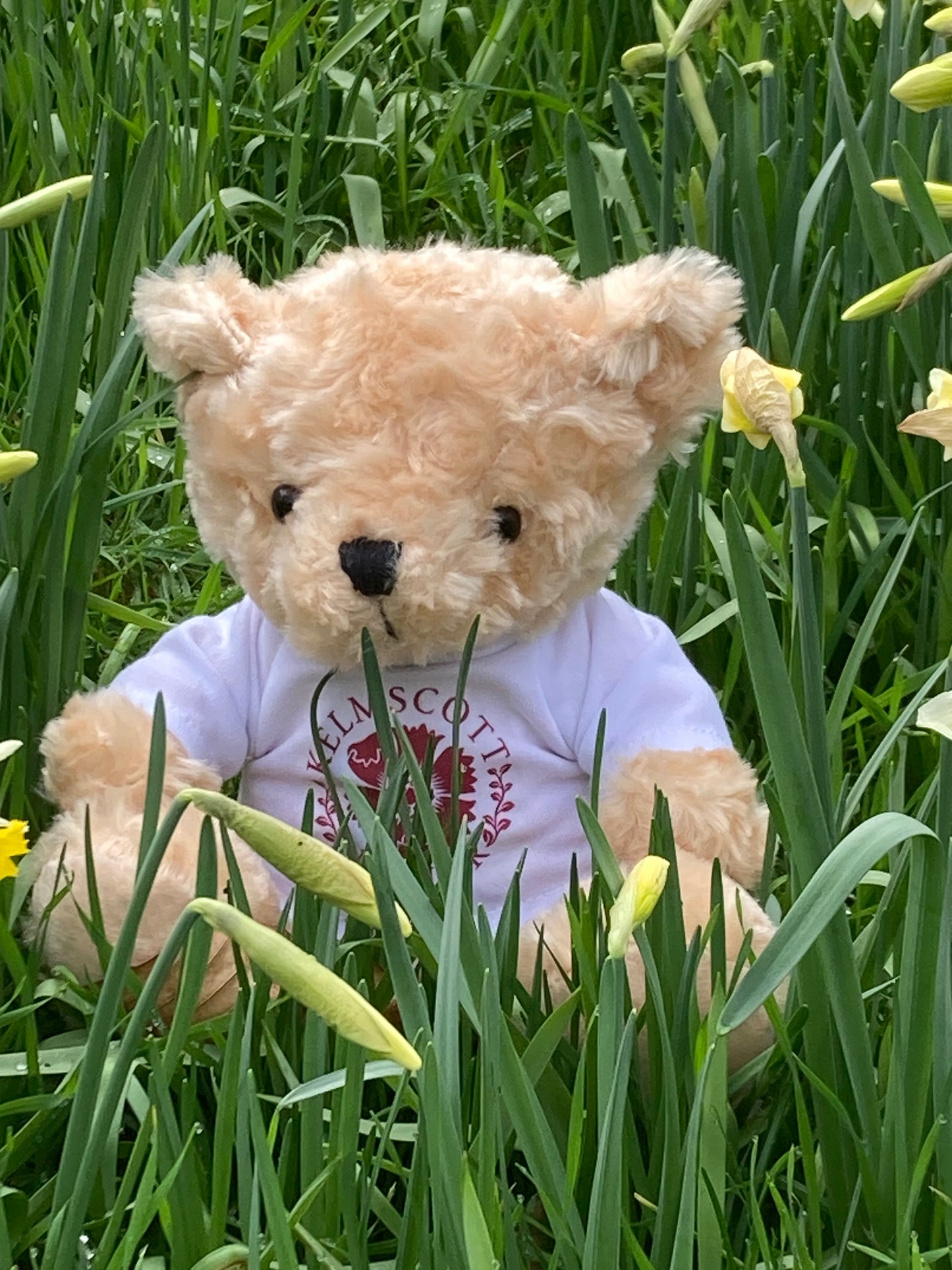 Kelmscott Manor Teddy Bear