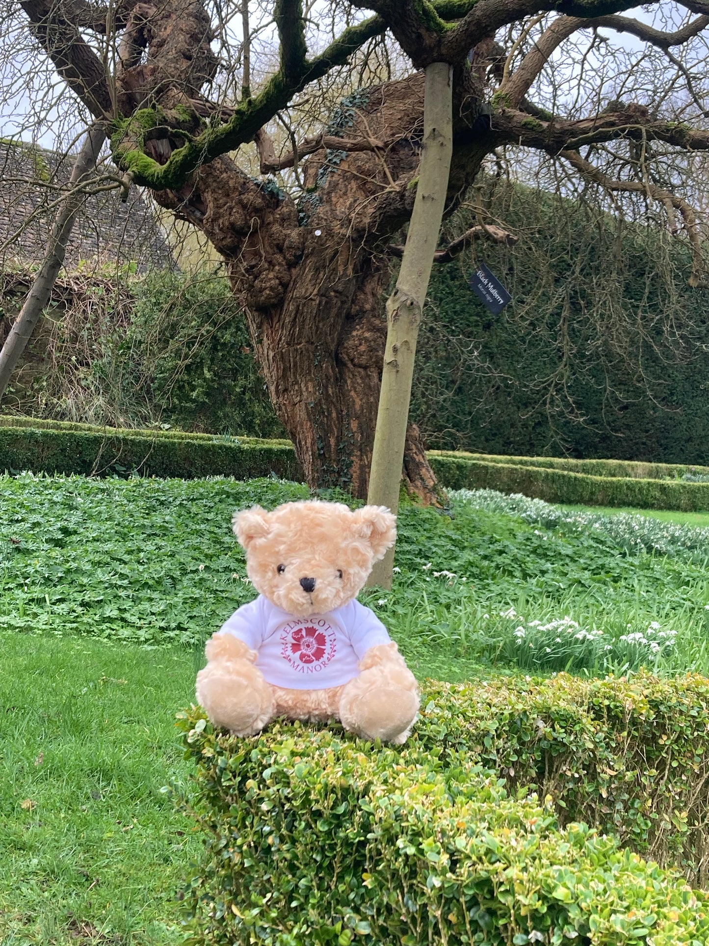 Kelmscott Manor Teddy Bear