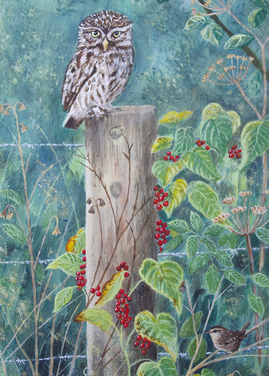 Greeting card - Little Owl and Wren