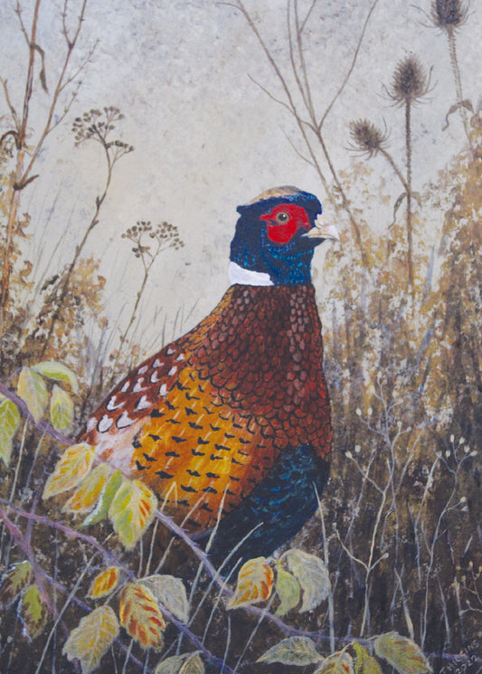 Greeting card - Pheasant and Brambles