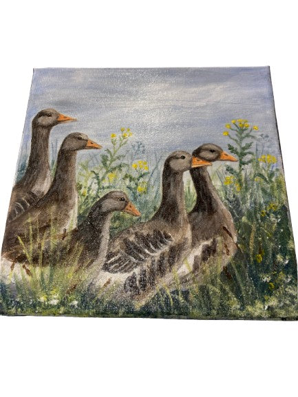 Local artist orginal painting - Greylag Geese - acrylic on canvas