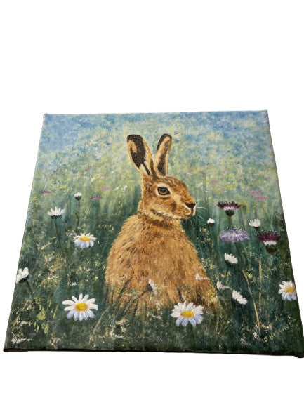 Local artist original painting - Hare and Daisies - acrylic on canvas